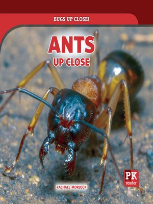 cover image of Ants Up Close